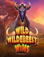 รีวิว เกม ไพ่ สล็อตสล็อต ออนไลน์ w88 ที่น่าสนใจ